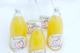 長野県産サンふじりんごジュース1000ml入2本