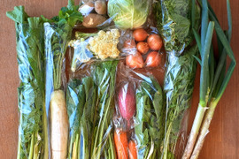 信州四賀より里山の旬野菜セット　11～14品目【L】