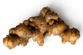 【鮮度抜群】香辛温活！自然栽培　土佐一囲い生姜500g土付き　香りの良い最高の生姜をお届けします。