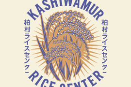 大定番！！【令和8年度 新米】茨城県産コシヒカリ精米10kg 農家直送