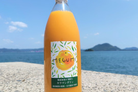 【農薬不使用】カラマンダリンジュース　1000ml　3本　無添加果汁100％