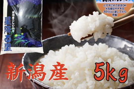 新米　令和7年産　新潟県産　コシヒカリ  5kg  無洗米  　(200)