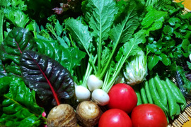 【雨水】魚の町で長年育ててもらった野菜セット7～9品目