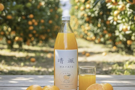 【数量限定】希少ブランドみかん100％ジュース　1L
