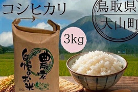 令和7年度　鳥取県産　コシヒカリ　20キロ　説明欄必読　専用 令和8年新米】 鳥取県産 コシヒカリ 10kg：鳥取県産のコシヒカリ｜食べ