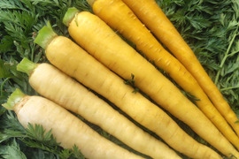 【3色】カラフルにんじん700g(5-7本程度)【葉なし・土付き】