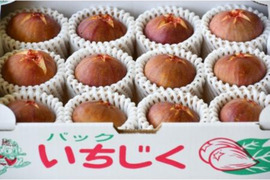 プリンスカップ　蓬莱　露路栽培　福岡県産　12個　新田原産いちじく　約1.2キロ