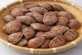 活　スダレ ガイ　2ｋｇ