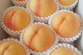 とろでもサクでも❣️黄金桃🍑6玉から8玉
