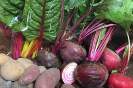 【期間限定】西洋野菜とカラフルポテト詰め合わせ!
