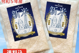【特A受賞米】新米はえぬき3合×2袋　さっぱり食感！令和5年山形県庄内産　白米
