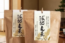 【ノンカフェイン】毎日飲める漢方茶！ 減肥麦茶（杜仲ともち麦のお茶）5g×12包入り　２袋セット【送料無料】