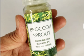 ブロッコリースプラウトパウダー　スパイスボトル入り（10g）