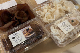 出雲の生きくらげ食べ比べセット（白100g・黒100g）