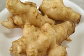 自然農のパワーいっぱい! 菊芋(大中サイズ)1kg 【おすすめの食べ方付き】