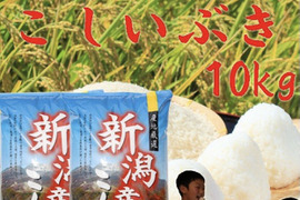 新米　令和7年産　新潟県産　こしいぶき  白米  10kg 　お米　(kosiibuki-10kg)