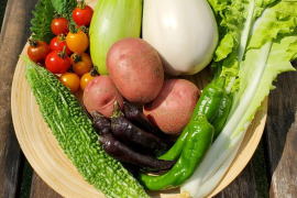 テーマは『カラフル&珍しい』野菜セット(野菜6種類入り)農薬・化学肥料不使用