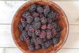 【旬のとれたての味をそのまま閉じ込めました！】自然栽培完熟ブラックベリー≪冷凍≫