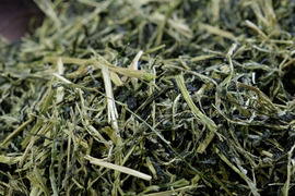 全部茶（2026年）　農薬・肥料不使用 加茂自然農園のお茶