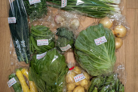 季節の新鮮野菜ボリュームセット