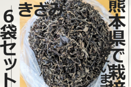 熊本県人吉産🐻6袋 x 30g 乾燥きくらげ スライス たっぷり 家庭用 簡易パッケージ 便利でお手頃 (熊本県産・人吉)