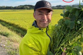 【予約販売】枝豆 えだまめ フルーツ枝豆 2kg 秋田県産 横手市産 まるで果物！甘くておいしい 産地直送 農家直送 朝穫れ