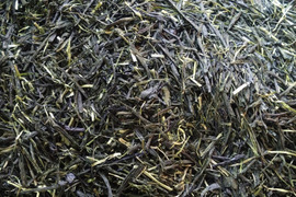 お茶・茶葉　農薬・肥料不使用　緑茶（2024） 玉露　やぶきた 加茂自然農園のお茶