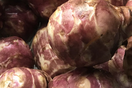 【残りわずか！】イチオシ健康野菜　トピナンブール（カナダ原産赤菊芋）5キロ