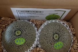 美味しい！タカミメロン大玉2玉