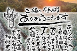 本場殿様葱！下仁田ネギLサイズ以上を17本以上詰め込みます。