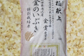 【新米】　玄米食専用のお米　特別栽培米　金のいぶき