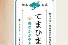 【令和7年新米】柔らかもっちり『てまひま米』彩のかがやき  精米 10㎏(５kg×2袋）