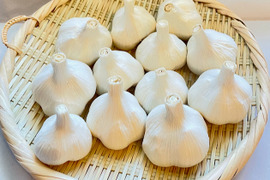 農薬化学肥料不使用　ニンニク　『福地ホワイト』500g　サイズ混合