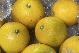 【防腐剤・ワックス不使用】皮までおいしいマイヤーレモン　和歌山県産　２キロ （箱込み）秀品から傷アリまで混合です。