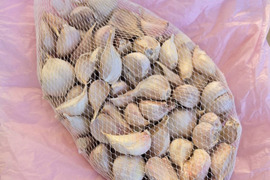 国産にんにく 500g　ポスト投函