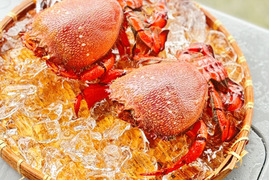 【冷凍】希少蟹‼️徳島宍喰産アサヒガニ！約1kg(2〜3匹)