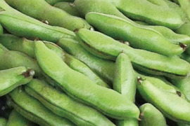【予約、５月限定！】そら豆(さや付)1kg【無肥料・栽培期間中農薬不使用】