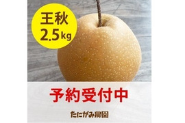 (予約数量限定)「王秋梨」2.5キロ(4～5玉) 鳥取県産 たにがみ農園