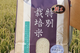 冷めても美味しい　お弁当にピッタリ[令和4年度産]　北海道米　ゆめぴりか　化学肥料不使用、除草剤1回のみ使用　5kg（精米）