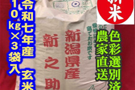 【福袋】　※玄米クラフト米袋※　大粒で　粒感がありしっかりとした食感　冷めても固くなりにくい新米　新潟県のお米のトップブランド　新之助（新潟県認証銘柄）　玄米10kg × 3個★農家直送★色彩選別済