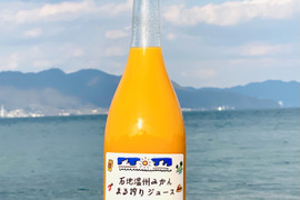 石地温州みかん まる搾りジュース（720ml×4本）