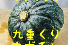 ホクホク！九重くりカボチャ（2玉）
