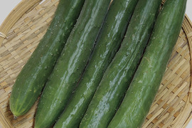 長野県産きゅうり4.5kg