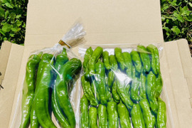「ししとう200g」「万願寺とうがらし150g」の風味豊かな緑黄色野菜セット