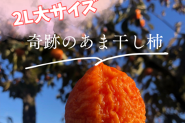【冬ギフト】【お歳暮、贈答用に】2026年、奇跡のあま干し柿特大8個入り、熨斗対応可！