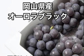 岡山県産【訳あり✨2色セット💚🖤】タイム価格✨シャインマスカット&オーロラブラック2kg