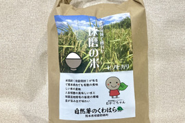 (熊本)【令和7年産】冷めても美味いご飯！球磨産 ヒノヒカリ 球磨川流域で育った米