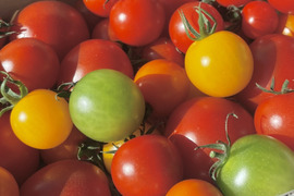 【ギフト】LOOP select｜カラフルミニトマトmix＆フルティカ食べ比べセット（1.2kg）