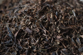紅茶（和紅茶）在来種 農薬・肥料不使用 加茂自然農園のお茶