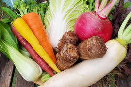 テーマは『優しさ』旬の野菜セット～冬～(野菜8種類)農薬・化学肥料不使用